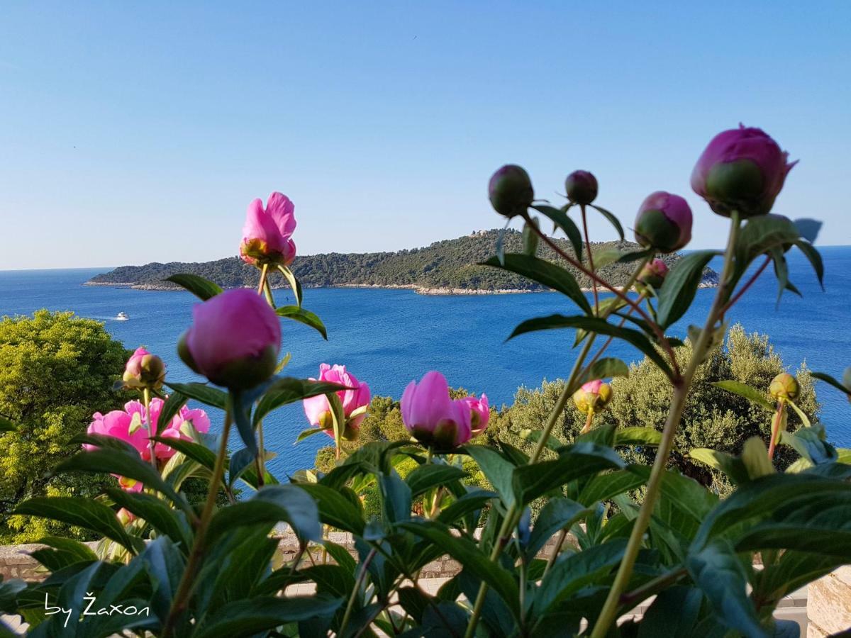 Apartments Sv.Jakov Dubrovnik Bagian luar foto